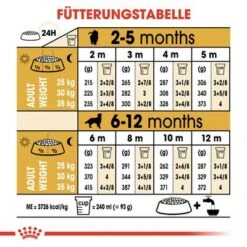 Royal Canin Golden Retriever Puppy -Günstiges Futter Leine Geschäft rc bhn puppygoldenretriever cm eretailkit 5 de de 6