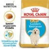 Royal Canin Golden Retriever Puppy -Günstiges Futter Leine Geschäft rc bhn puppygoldenretriever mv eretailkit de de 0