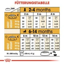 Royal Canin German Shepherd Puppy -Günstiges Futter Leine Geschäft rc bhn puppygs cm eretailkit 5 de de 4