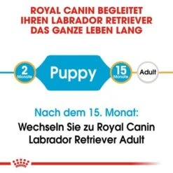 Royal Canin Labrador Retriever Puppy -Günstiges Futter Leine Geschäft rc bhn puppylabradorretriever cm eretailkit 1 de de 1