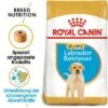 Royal Canin Labrador Retriever Puppy -Günstiges Futter Leine Geschäft rc bhn puppylabradorretriever cm eretailkit 8 de de 2