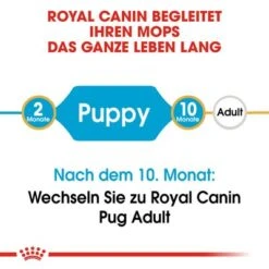 Royal Canin Pug Puppy -Günstiges Futter Leine Geschäft rc bhn puppypug cm eretailkit 1 de de 9