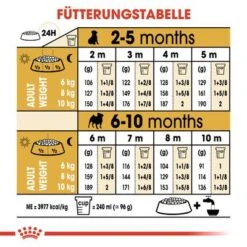 Royal Canin Pug Puppy -Günstiges Futter Leine Geschäft rc bhn puppypug cm eretailkit 5 de de 3