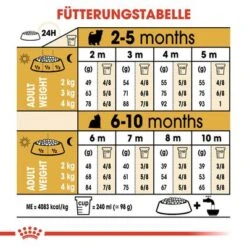 Royal Canin Yorkshire Terrier Puppy -Günstiges Futter Leine Geschäft rc bhn puppyyorkshire cm eretailkit 5 de de 6