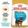 Royal Canin Yorkshire Terrier Puppy 1 Royal Canin Yorkshire Terrier Puppy -Günstiges Futter Leine Geschäft rc bhn puppyyorkshire mv eretailkit de de 1