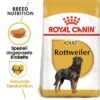 Royal Canin Rottweiler Adult 2 Royal Canin Rottweiler Adult -Günstiges Futter Leine Geschäft rc bhn rottweiler mv eretailkit de de 1