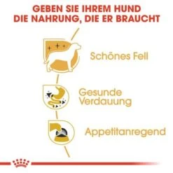 Nassfutter Als Ergänzung Zu Royal Canin Chihuahua Adult 13 Nassfutter Als Ergänzung Zu Royal Canin Chihuahua Adult -Günstiges Futter Leine Geschäft rc bhn wet chihuahua cv eretailkit 3 de de 7