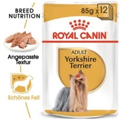 Nassfutter Als Ergänzung Zu Royal Canin Yorkshire Terrier Adult