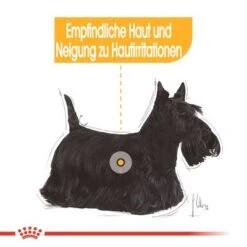 Nassfutter Als Ergänzung Zu Royal Canin Dermacomfort -Günstiges Futter Leine Geschäft rc ccn wet dermacomfort cv eretailkit 1 de de 8
