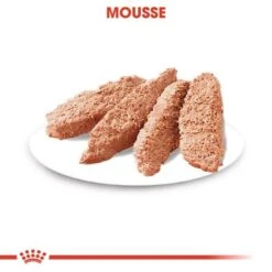 Royal Canin Dermacomfort Mousse -Günstiges Futter Leine Geschäft rc ccn wet dermacomfort cv eretailkit 2 de de 8