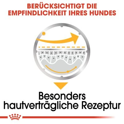 Nassfutter Als Ergänzung Zu Royal Canin Dermacomfort – Bild 5