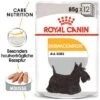 Nassfutter Als Ergänzung Zu Royal Canin Dermacomfort -Günstiges Futter Leine Geschäft rc ccn wet dermacomfort mv eretailkit de de 8