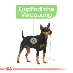 Nassfutter Als Ergänzung Zu Royal Canin Digestive Care -Günstiges Futter Leine Geschäft rc ccn wet digestive cv eretailkit 1 de de 0