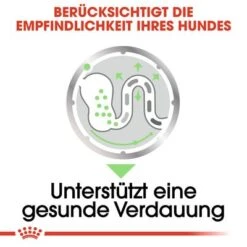 Royal Canin Digestive Care Mousse -Günstiges Futter Leine Geschäft rc ccn wet digestive cv eretailkit 3 de de 2