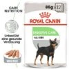 Royal Canin Digestive Care Mousse -Günstiges Futter Leine Geschäft rc ccn wet digestive mv eretailkit de de 4