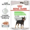 Nassfutter Als Ergänzung Zu Royal Canin Digestive Care -Günstiges Futter Leine Geschäft rc ccn wet digestive mv eretailkit de de 6