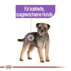 Royal Canin Sterilised Mousse -Günstiges Futter Leine Geschäft rc ccn wet sterilised cv eretailkit 1 de de 1