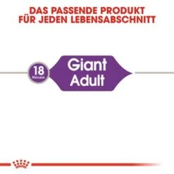 Royal Canin Giant Adult -Günstiges Futter Leine Geschäft rc shn adultgiant cv eretailkit 1 de de 1