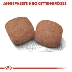 Royal Canin Giant Adult -Günstiges Futter Leine Geschäft rc shn adultgiant cv eretailkit 3 de de 6