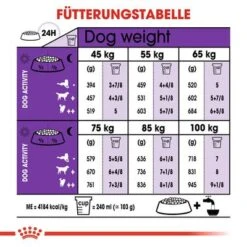 Royal Canin Giant Adult -Günstiges Futter Leine Geschäft rc shn adultgiant cv eretailkit 4 de de 2