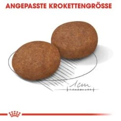 Royal Canin Medium Adult 7+ 10 Royal Canin Medium Adult 7+ -Günstiges Futter Leine Geschäft rc shn adultmedium7 cv eretailkit 3 de de 2