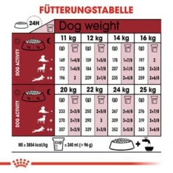 Royal Canin Medium Adult 7+ 13 Royal Canin Medium Adult 7+ -Günstiges Futter Leine Geschäft rc shn adultmedium7 cv eretailkit 4 de de 2