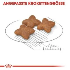 Royal Canin Mini Adult -Günstiges Futter Leine Geschäft rc shn adultmini cv eretailkit 3 de de 9
