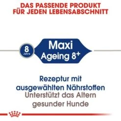 Royal Canin Maxi Ageing 8+ -Günstiges Futter Leine Geschäft rc shn ageingmaxi8 cv eretailkit 1 de de 6
