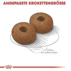 Royal Canin Maxi Ageing 8+ -Günstiges Futter Leine Geschäft rc shn ageingmaxi8 cv eretailkit 3 de de 2