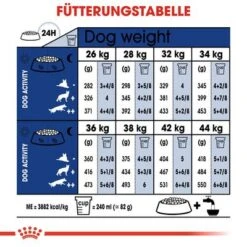 Royal Canin Maxi Ageing 8+ -Günstiges Futter Leine Geschäft rc shn ageingmaxi8 cv eretailkit 4 de de 9