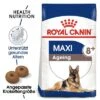 Royal Canin Maxi Ageing 8+ -Günstiges Futter Leine Geschäft rc shn ageingmaxi8 mv eretailkit de de 2
