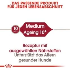 Royal Canin Medium Ageing 10+ -Günstiges Futter Leine Geschäft rc shn ageingmedium10 cv eretailkit 1 de de 4