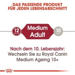 Royal Canin Medium Adult In Soße -Günstiges Futter Leine Geschäft rc shn wet mediumadult cv eretailkit 1 de de 1