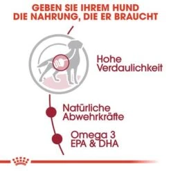 Royal Canin Medium Adult In Soße -Günstiges Futter Leine Geschäft rc shn wet mediumadult cv eretailkit 2 de de 1