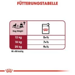 Royal Canin Medium Adult In Soße -Günstiges Futter Leine Geschäft rc shn wet mediumadult cv eretailkit 5 de de 1
