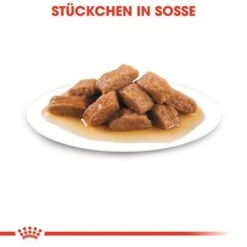 Royal Canin Medium Ageing 10+ In Soße -Günstiges Futter Leine Geschäft rc shn wet mediumageing cv eretailkit 3 de de 4