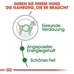 Nassfutter Als Ergänzung Zu Royal Canin Mini Adult -Günstiges Futter Leine Geschäft rc shn wet miniadult cv eretailkit 2 de de 9