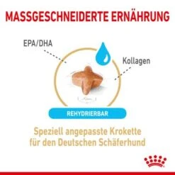 Royal Canin German Shepherd Adult 5+ -Günstiges Futter Leine Geschäft rc spt dry germshep5 cv 2 de de 5