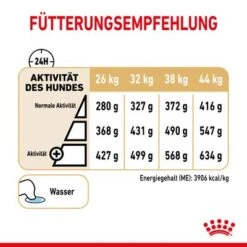 Royal Canin German Shepherd Adult 5+ -Günstiges Futter Leine Geschäft rc spt dry germshep5 cv 4 de de 0