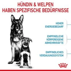 Royal Canin Maxi Starter Mother & Babydog -Günstiges Futter Leine Geschäft rc spt dry maxistart cv 2 de de 7