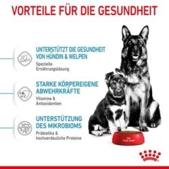 Royal Canin Maxi Starter Mother & Babydog -Günstiges Futter Leine Geschäft rc spt dry maxistart cv 3 de de 2