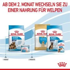 Royal Canin Maxi Starter Mother & Babydog -Günstiges Futter Leine Geschäft rc spt dry maxistart cv 5 de de 9