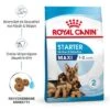 Royal Canin Maxi Starter Mother & Babydog -Günstiges Futter Leine Geschäft rc spt dry maxistart mv 1 de de 7