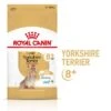 Royal Canin Yorkshire Terrier Adult 8+ -Günstiges Futter Leine Geschäft rc spt dry york8 mv 1 de de 7