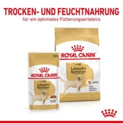 Nassfutter Als Ergänzung Zu Royal Canin Labrador Retriever Adult -Günstiges Futter Leine Geschäft rc spt wet labad cv 3 de de 4