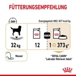 Nassfutter Als Ergänzung Zu Royal Canin Labrador Retriever Adult -Günstiges Futter Leine Geschäft rc spt wet labad cv 5 de de 5