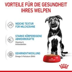 Royal Canin Maxi Puppy In Soße -Günstiges Futter Leine Geschäft rc spt wet maxipuppy cv 3 de de 2