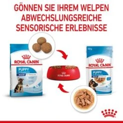 Royal Canin Maxi Puppy In Soße -Günstiges Futter Leine Geschäft rc spt wet maxipuppy cv 4 de de 8