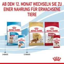 Royal Canin Medium Puppy In Soße -Günstiges Futter Leine Geschäft rc spt wet mediumpuppy cv 8 de de 6