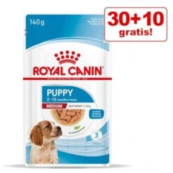 30 + 10 / 36 + 12 Gratis! 40 X 140 G / 48 X 85 G Royal Canin -Günstiges Futter Leine Geschäft rc spt wet mediumpuppy mv 3 de de 0 4